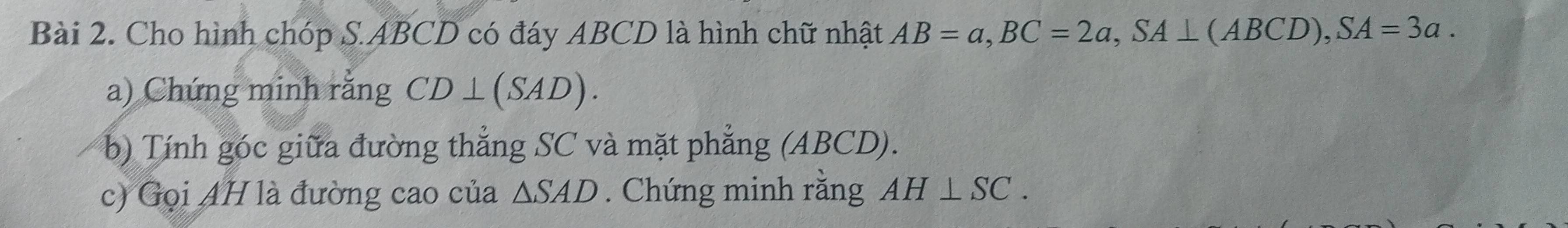 43ac2d2c-6e0e-4ba0-b800-4765a877db7c.jpg