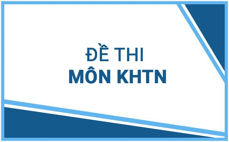 Bộ đề thi môn KHTN 6 năm học 2023-2024