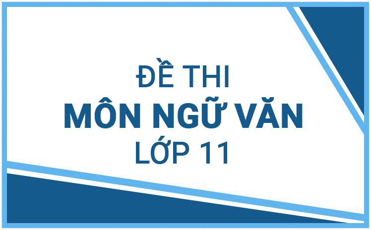Bộ 20+ đề thi môn Ngữ văn lớp 11 năm học 2023 - 2024 được chọn lọc