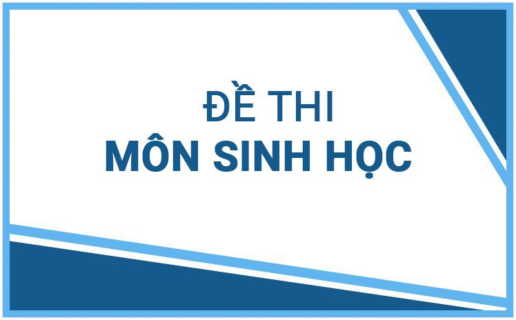 Bộ đề thi thử tốt nghiệp THPT môn Sinh năm 2024 