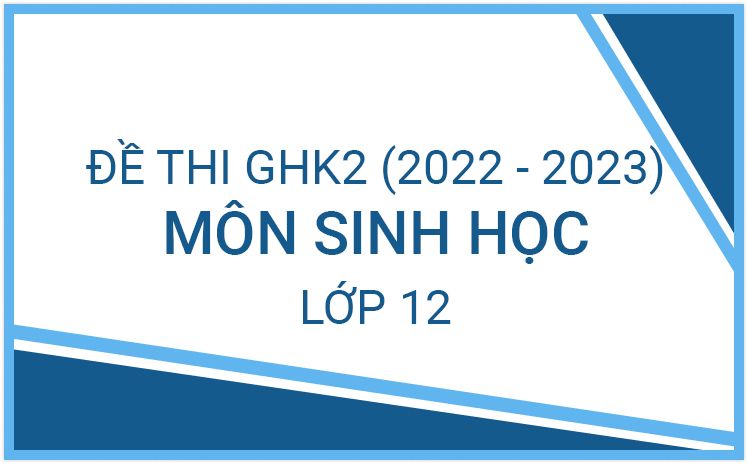 Tổng hợp đề thi Giữa HK2 môn Sinh 12 mới nhất năm học 2022-2023