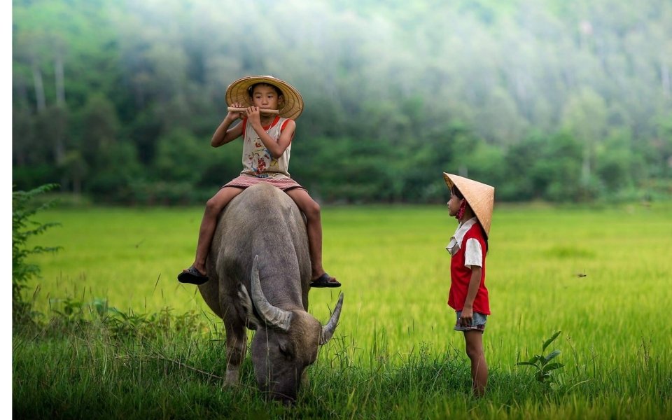 Tình yêu quê hương là gì? 