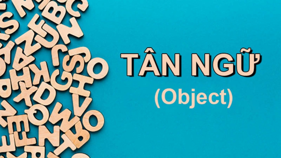 bài tập về tân ngữ