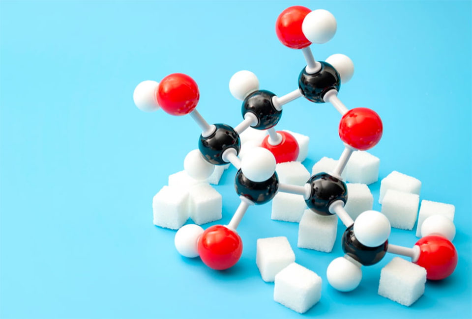 Vai trò của glucose trong quá trình từ tinh bột ra glucose