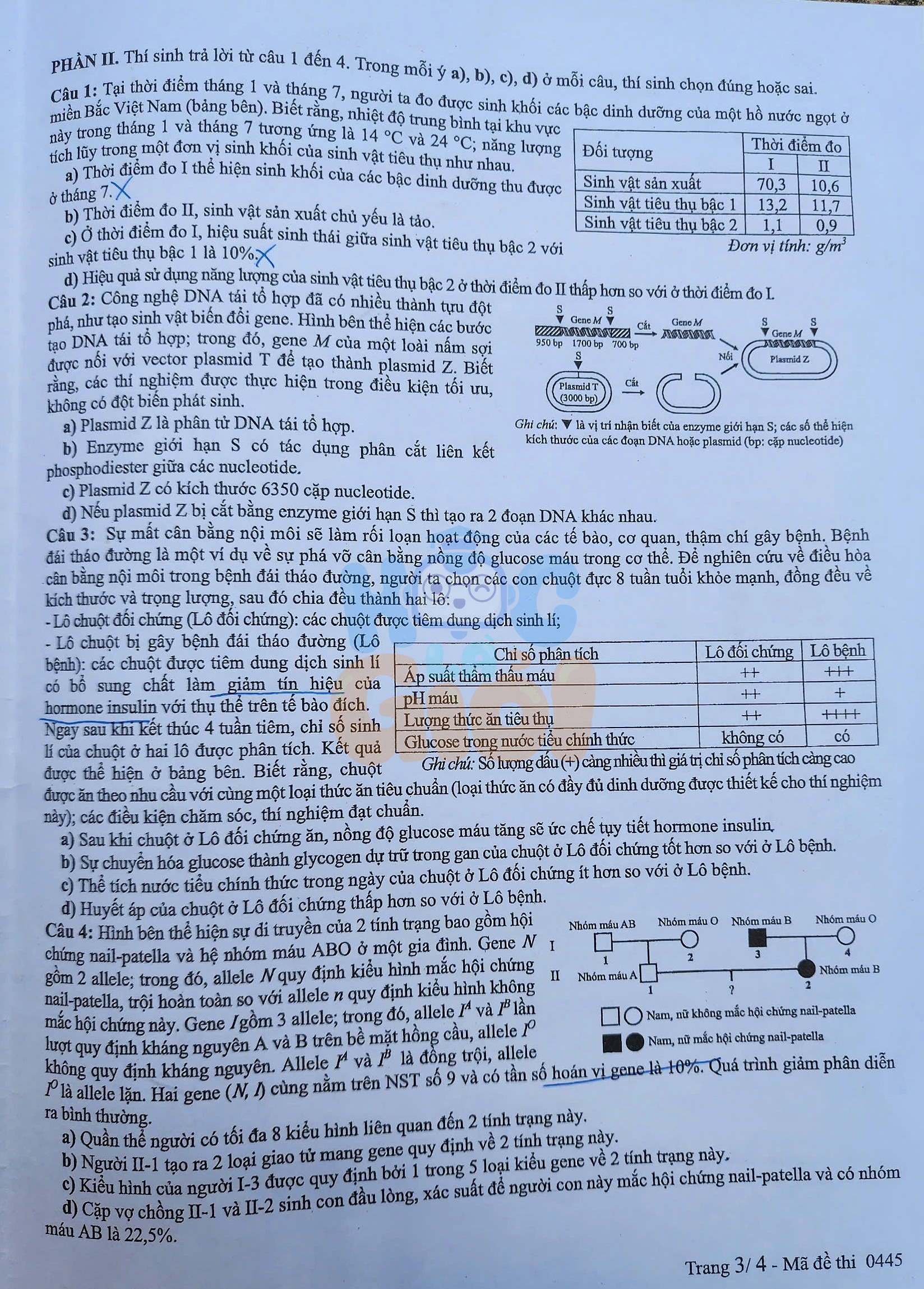 Đề thi môn Sinh học THPT quốc gia 2025-2026 đề 0445
