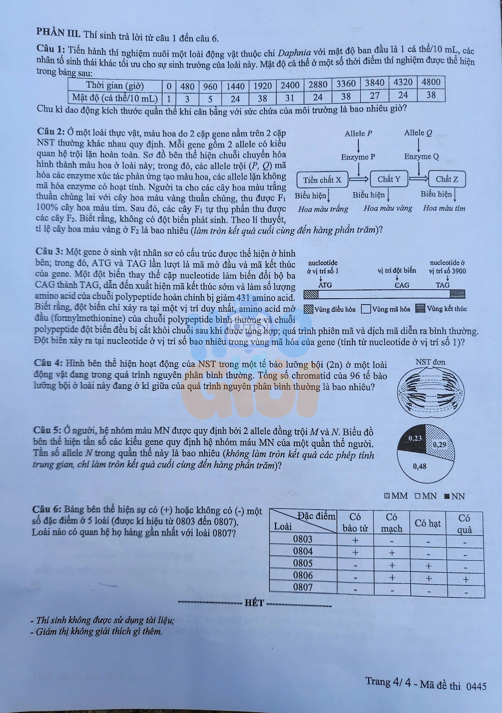 Đề thi môn Sinh học THPT quốc gia 2025-2026 đề 0445