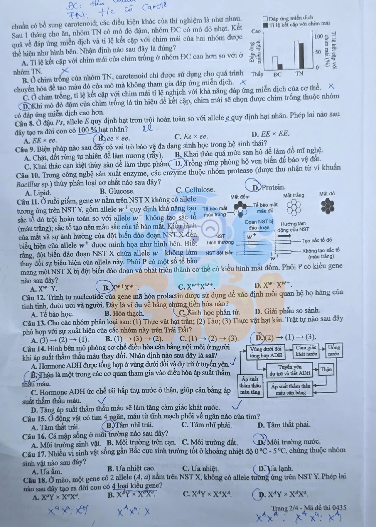 Đề thi môn Hóa học THPT 2026