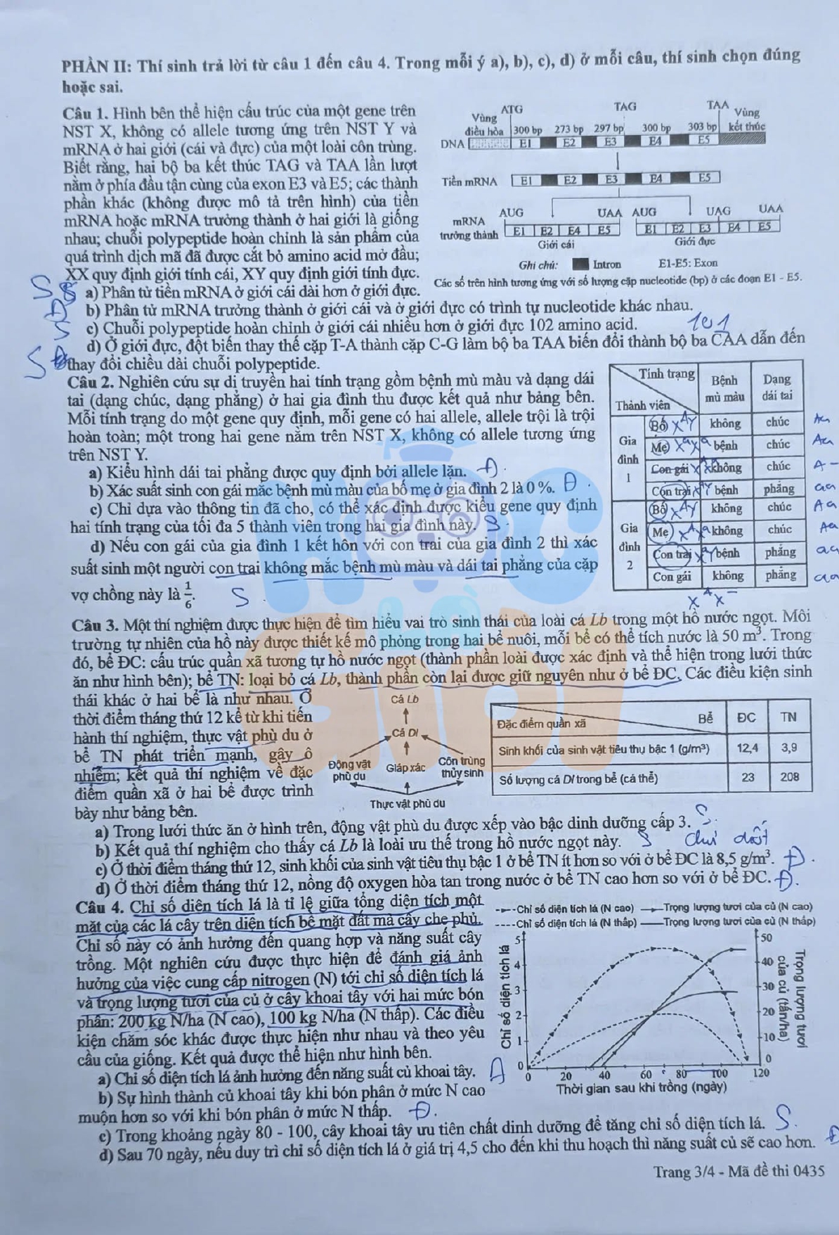 Đề thi môn Hóa học THPT 2026