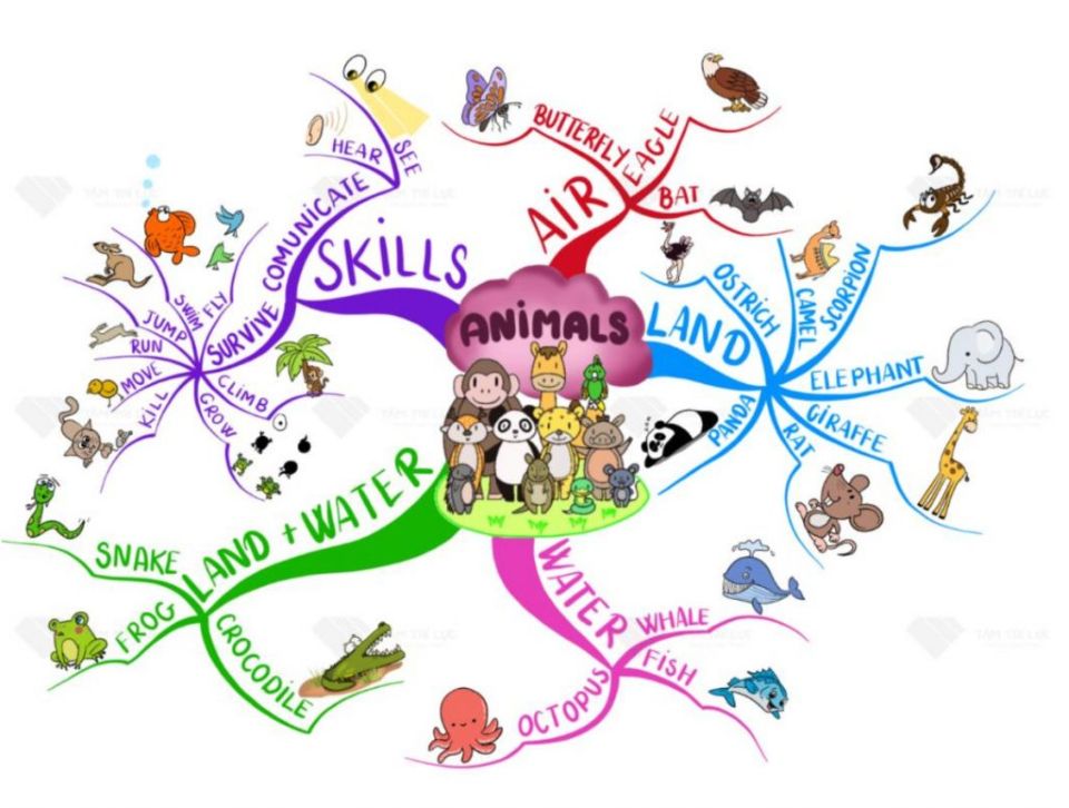 cách vẽ sơ đồ tư duy tiếng anh