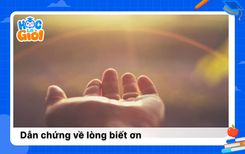 20+ dẫn chứng về lòng biết ơn cho nghị luận xã hội